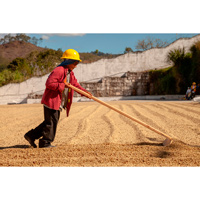 Café en grain | Honduras Lenca Bio & Equitable Max Havelaar : 250 Gr