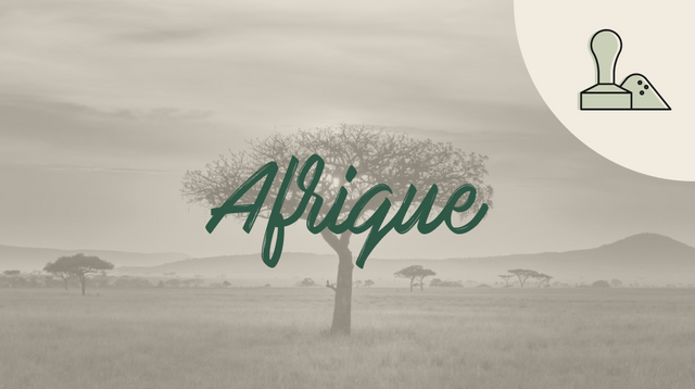 VM Afrique