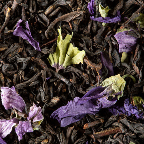 infusion the noir