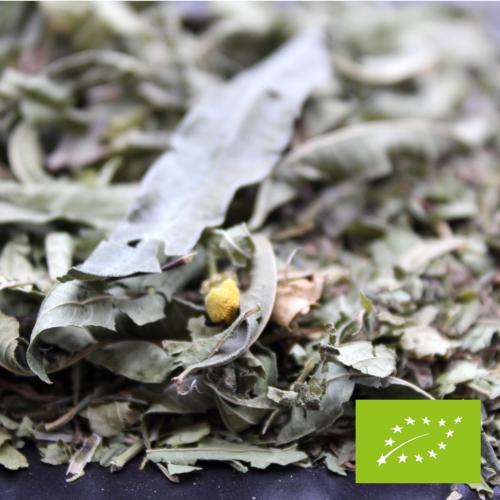 the424 verveine menthe