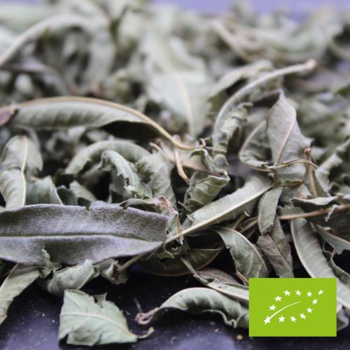 the79 verveine organic