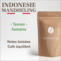 Café en grain | Indonésie Mandheling : 250 Gr