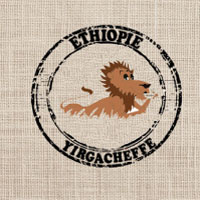 CAFE VERT | Ethiopie Yirgacheffe Konga - 1 Kg