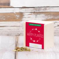 La tisane Digestive - Boite bois 25 Gr | HAPPY PLANTES