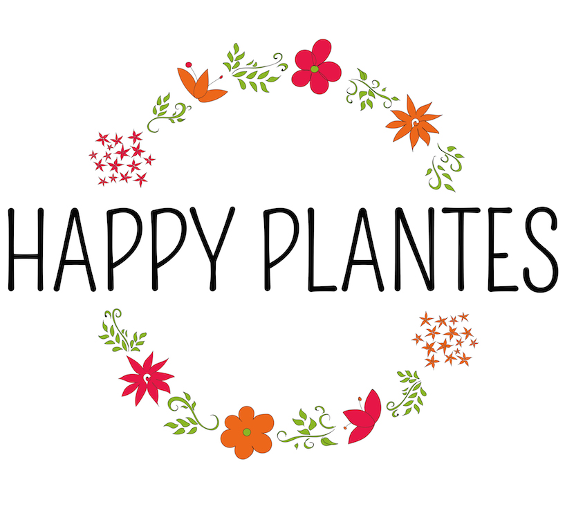 happy plantes tisanes