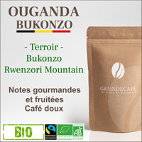 Café en grain | Ouganda Wugar Bukonzo BIO Equitable : 250 Gr