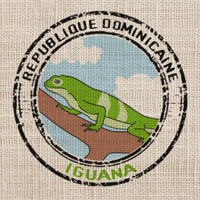 Café en grain | Rep Dominicaine Iguana : 250 Gr