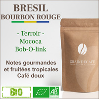 Café en grain | Brésil Mococa Bourbon rouge BIO : 250 Gr