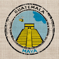 Café en grain | Guatemala Maya : 250 Gr