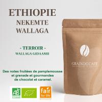 Café en grain | Ethiopie Moka Nekemte Wallaga BIO Equitable  : 250 Gr