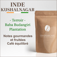 Café moulu | Inde Kushalnagar plantation : 250 Gr