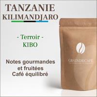 Café en grain | Tanzanie Kilimandjaro : 250 Gr