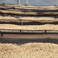 Café en grain | Brésil Sul de Minas : 250 Gr