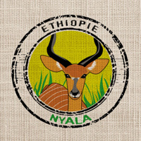 Café en grain | Ethiopie Moka Sidama Nyala : 250 Gr