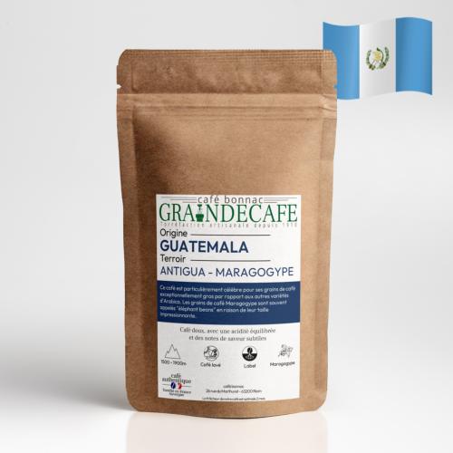 Café en grain | Guatemala Maragogype : 250 Gr