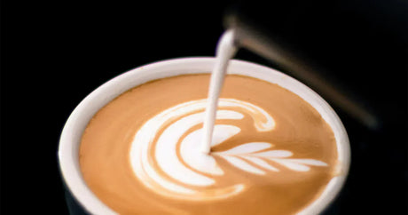 Flat White : Origines, préparation et dégustation