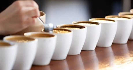 Découvrez l'art de déguster le café