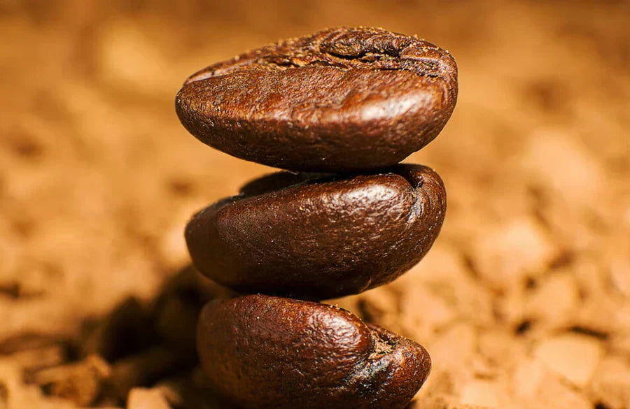 Le Robusta : Le café au goût fort et caféiné - Graindecafe