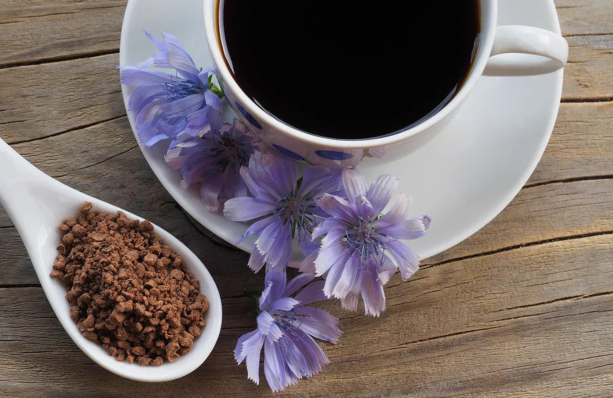 La Chicorée : Les origines à la préparation - Graindecafe