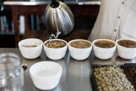 Découvrez l'art de déguster le café - Graindecafe