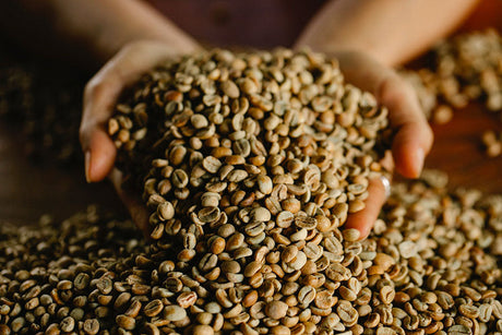 La torréfaction artisanale - Graindecafe