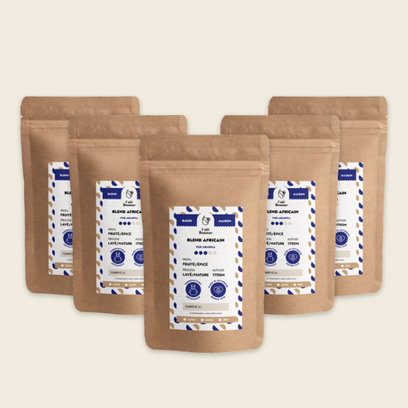 5kg de café Blend Africain pour les professionnels 
