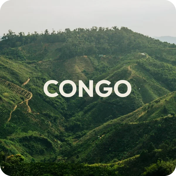 banniere congo café