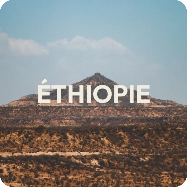 Café Éthiopien – Pour un expresso fruité et floral