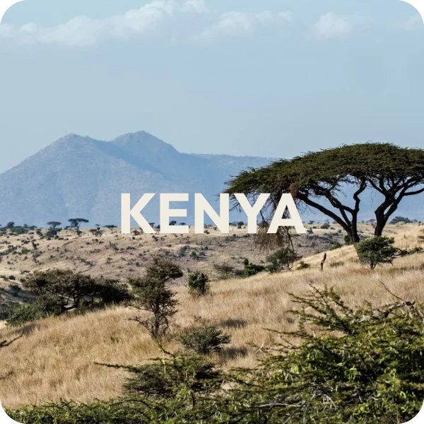bannière café du Kenya