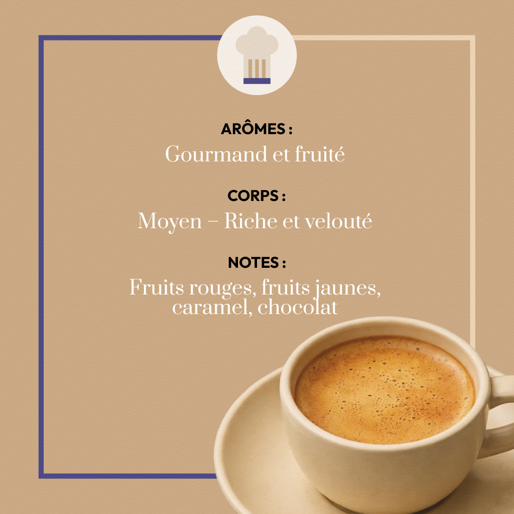 Blend Dégustation café