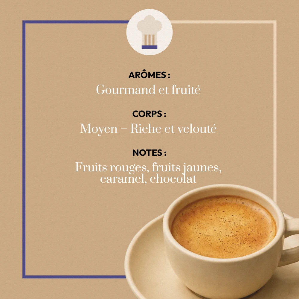 Café Moulu Blend Dégustation | 100% Arabica