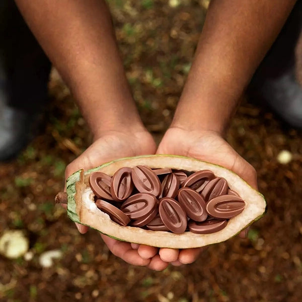 Que représente le pourcentage de cacao ?