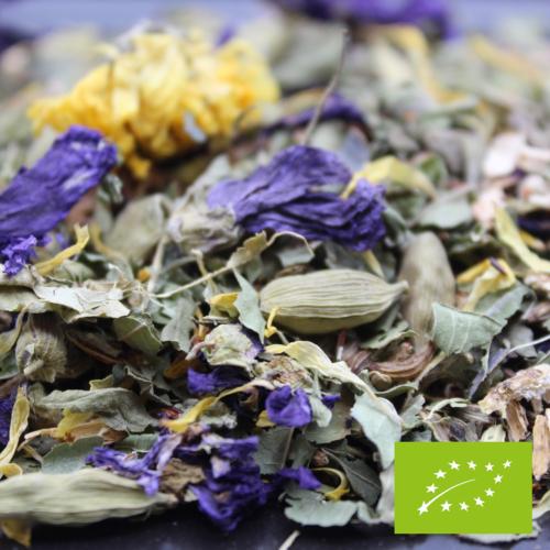 Sachet d'infusion BIO La grande échappée