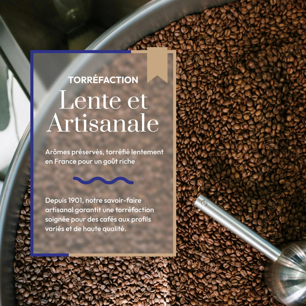 Torréfaction artisanale Blend Dégustation Café Bonnac Riom Puy-de-Dôme 1920
