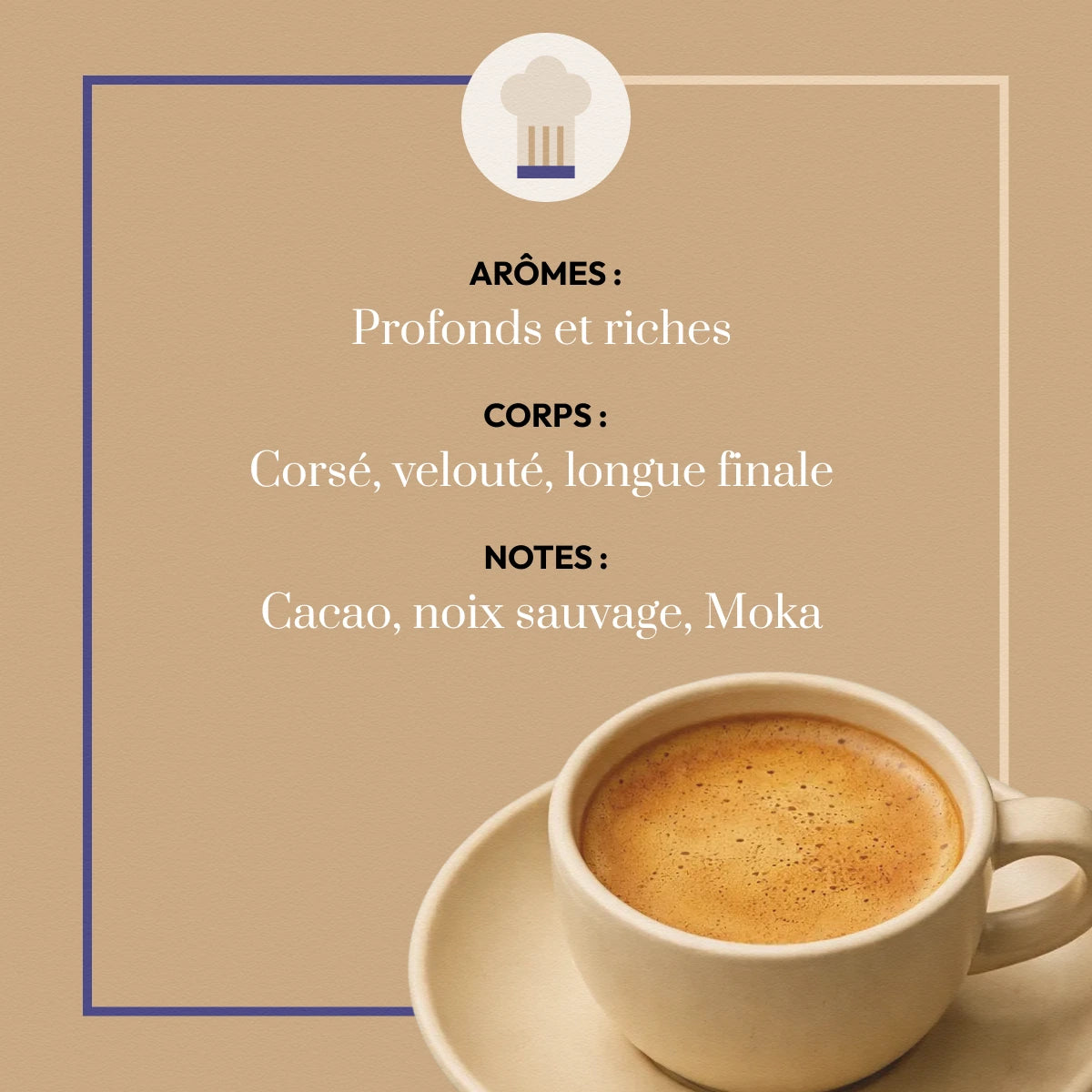 Profil aromatique Djimmah G5 : notes de moka, cacao, épices et noix sauvage