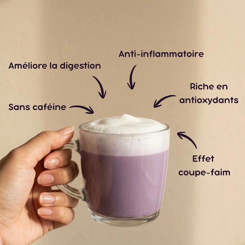 Bienfaits de l’Ube : pourquoi intégrer l’Ube à son quotidien ?