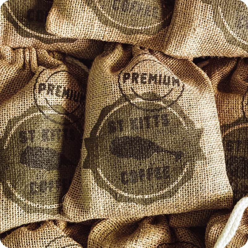 Les origines et le terroir : Comment ils influencent le goût du café