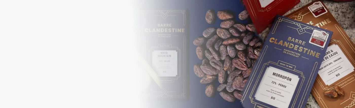 banner cacao barre