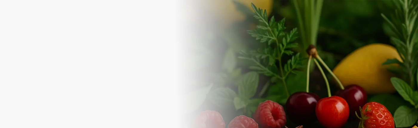 banner infusion aux