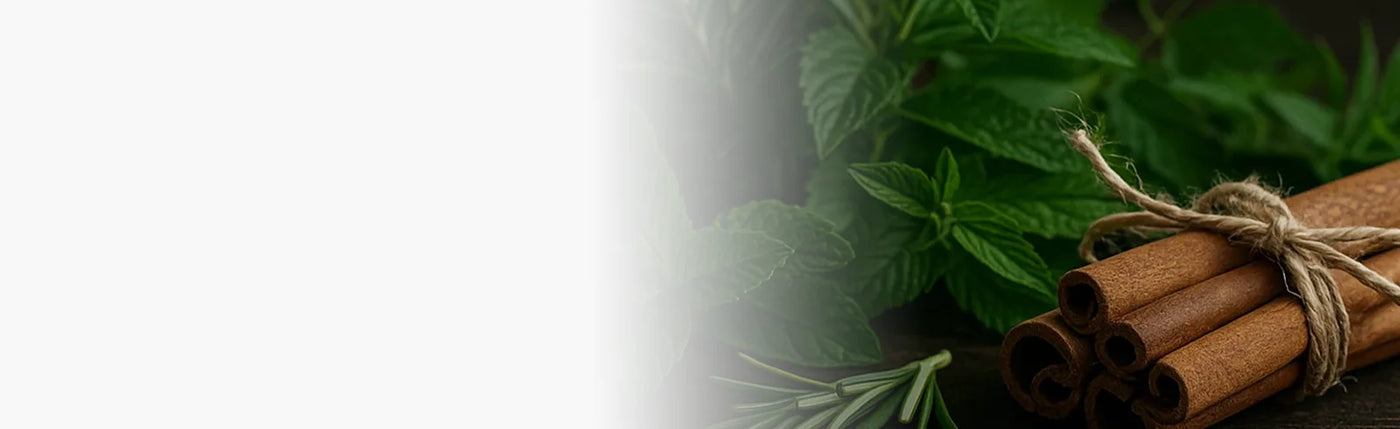 banner infusion cannelle