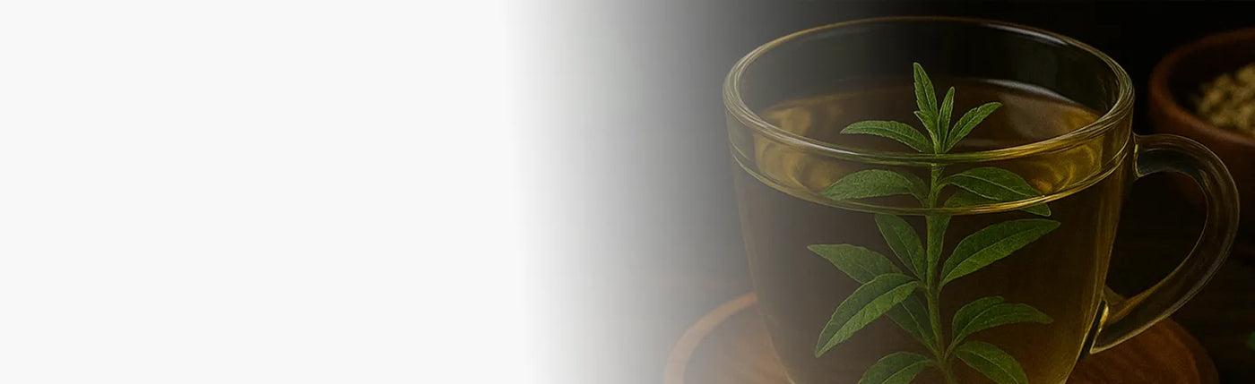 banner infusion digestion