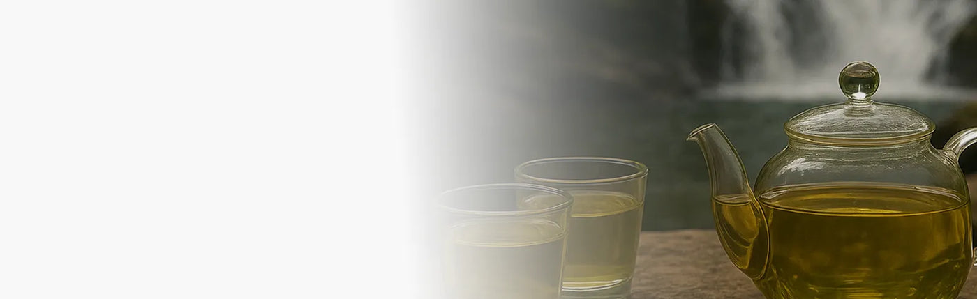banner infusion energisante