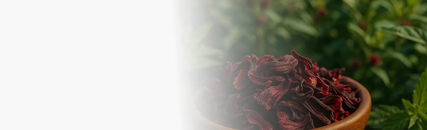 banner infusion hibiscus