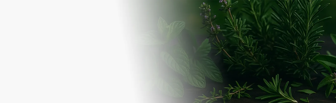 banner infusion ici