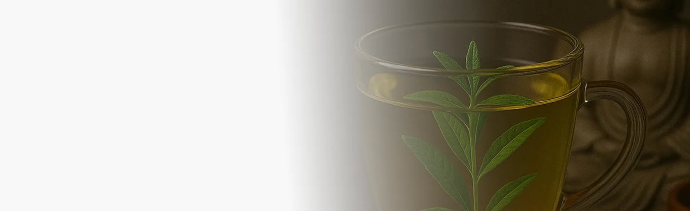 banner infusion relaxant