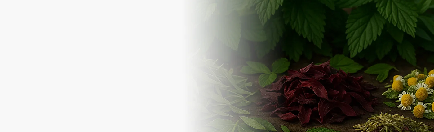 banner infusion vrac