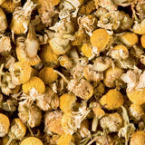camomille en boite Dammann Frères