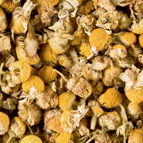 camomille en boite Dammann Frères