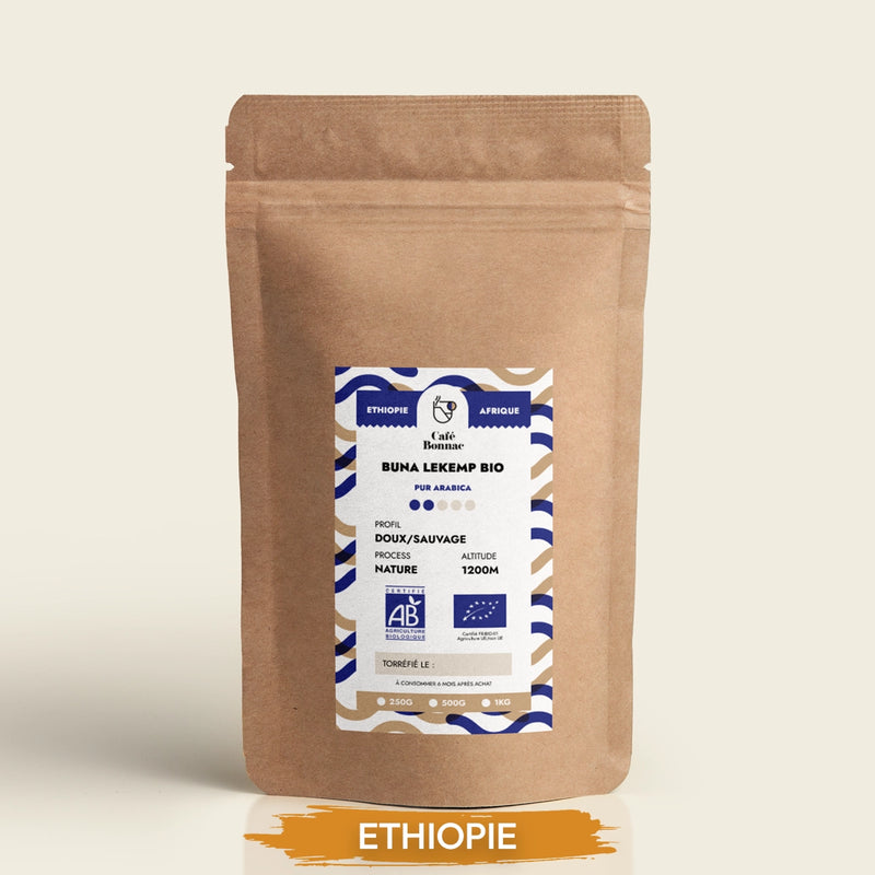 café grain ethiopie bio