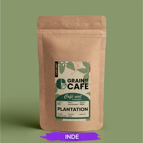 café vert inde plantation